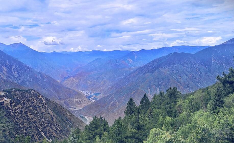 百万粉丝网红遭绑架灭口，案件细节公开